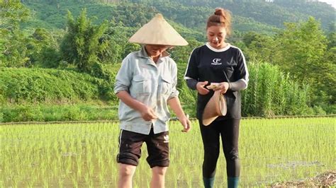 ¿De qué se trata 'Dreamland'? Un viaje al alma emprendedora vietnamita