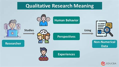  “Knowledge Generation Through Qualitative Research: A Step-by-Step Guide” Unveils the Labyrinthine Beauty of Meaning Making